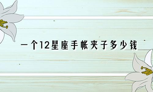 一个12星座手帐夹子多少钱