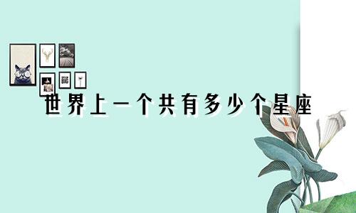 世界上一个共有多少个星座