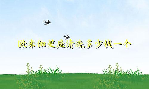 欧米伽星座清洗多少钱一个