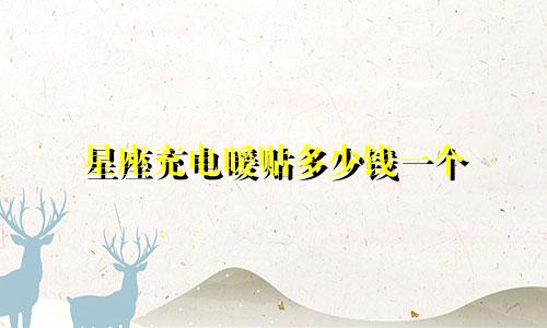 星座充电暖贴多少钱一个