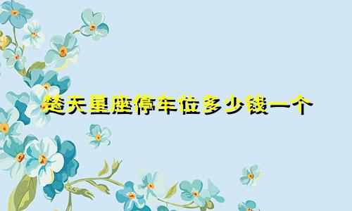 楚天星座停车位多少钱一个