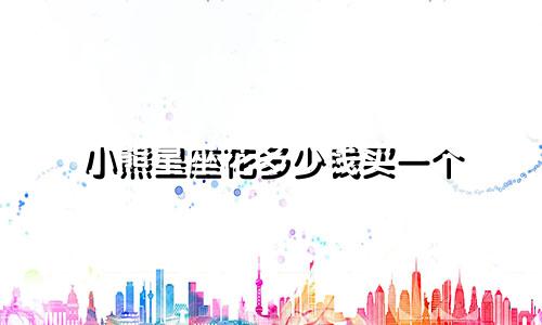 小熊星座花多少钱买一个