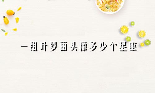 一组叶罗丽头像多少个星座