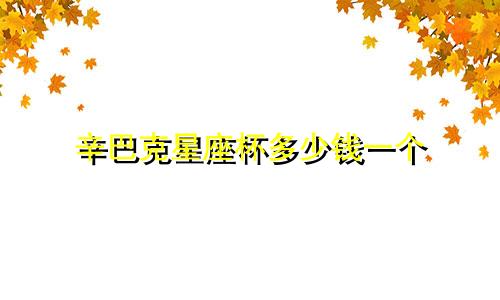 辛巴克星座杯多少钱一个