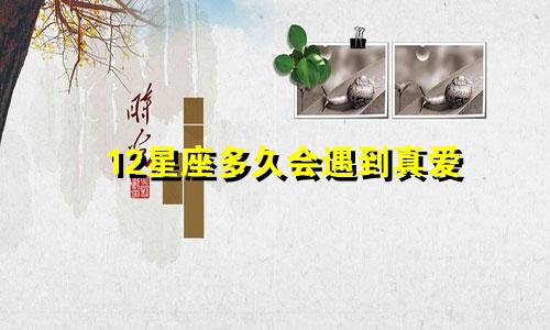 12星座多久会遇到真爱