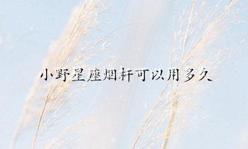 小野星座烟杆可以用多久