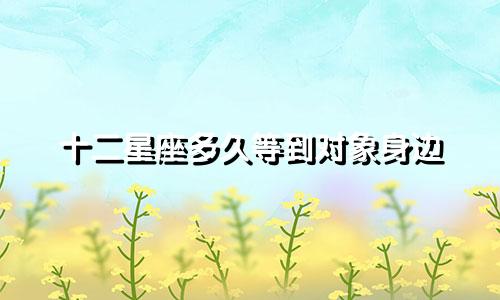 十二星座多久等到对象身边