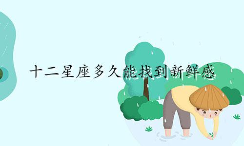 十二星座多久能找到新鲜感