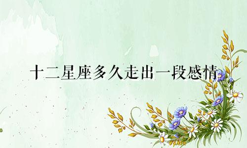十二星座多久走出一段感情