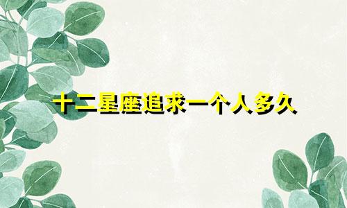 十二星座追求一个人多久