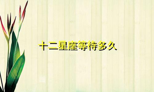 十二星座等待多久
