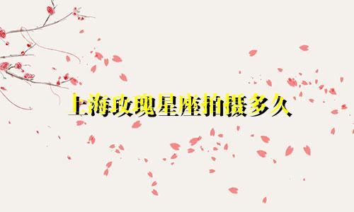 上海玫瑰星座拍摄多久