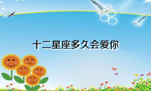 十二星座多久会爱你