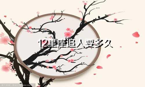 12星座追人要多久