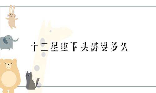 十二星座下头需要多久