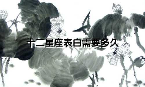 十二星座表白需要多久
