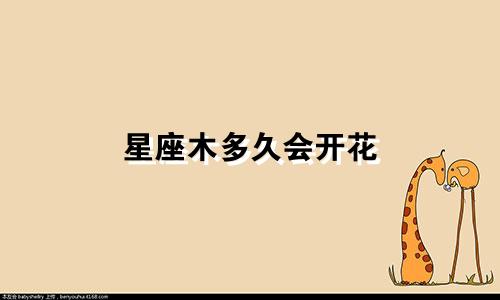 星座木多久会开花