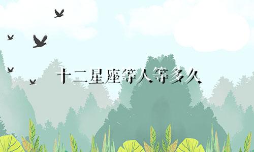十二星座等人等多久