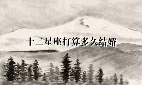 十二星座打算多久结婚