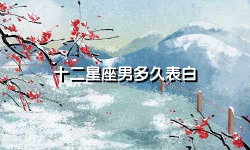 十二星座男多久表白