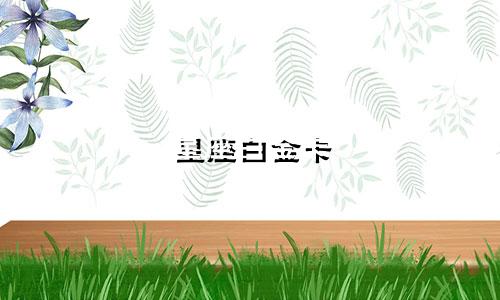 星座白金卡 审批多久
