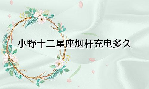 小野十二星座烟杆充电多久