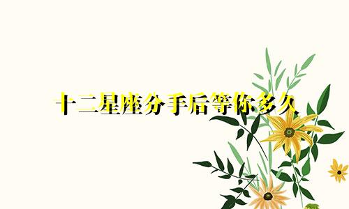十二星座分手后等你多久