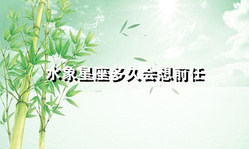 水象星座多久会想前任