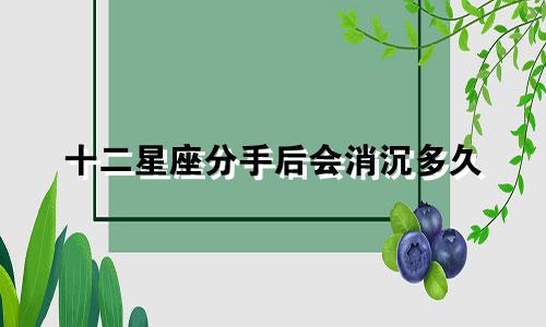 十二星座分手后会消沉多久