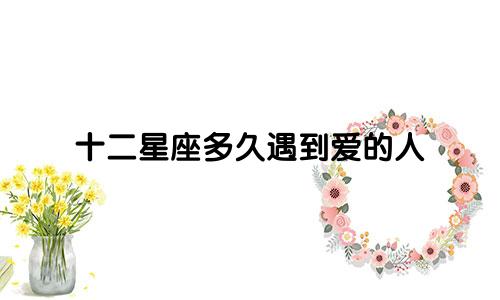 十二星座多久遇到爱的人