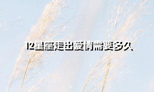 12星座走出爱情需要多久