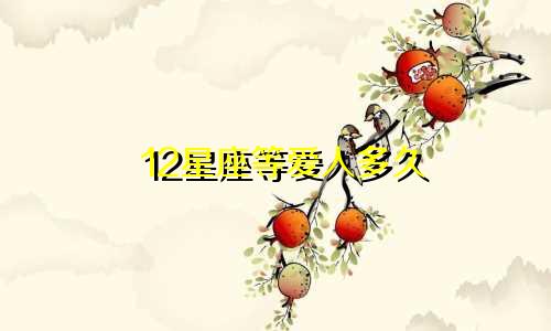 12星座等爱人多久