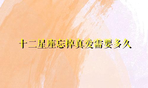 十二星座忘掉真爱需要多久