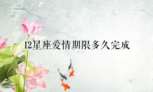 12星座爱情期限多久完成