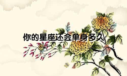 你的星座还会单身多久