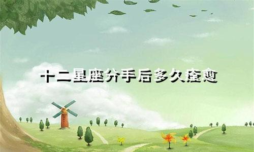 十二星座分手后多久痊愈