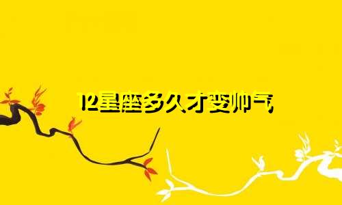 12星座多久才变帅气