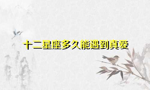 十二星座多久能遇到真爱