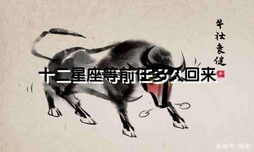 十二星座等前任多久回来