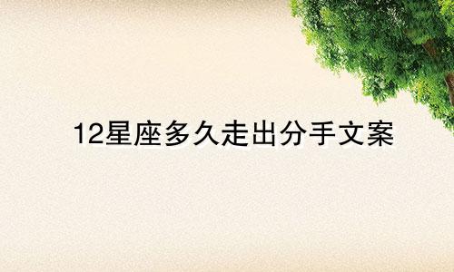 12星座多久走出分手文案