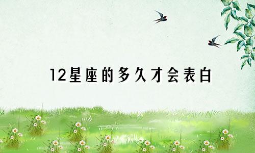 12星座的多久才会表白