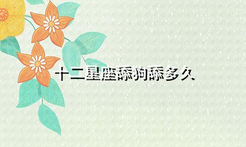 十二星座舔狗舔多久