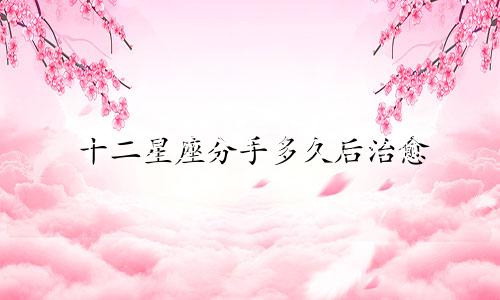 十二星座分手多久后治愈