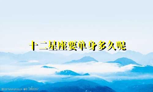 十二星座要单身多久呢
