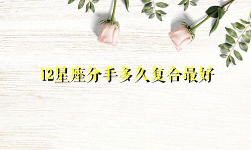 12星座分手多久复合最好