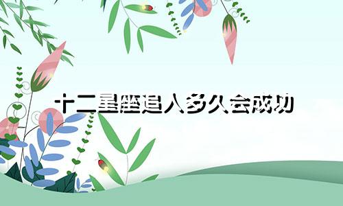 十二星座追人多久会成功