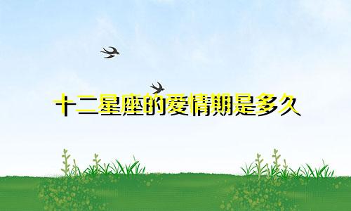 十二星座的爱情期是多久