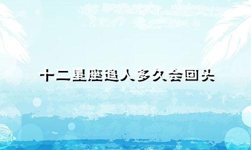 十二星座追人多久会回头