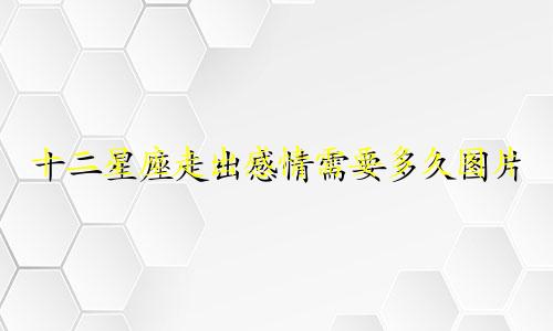 十二星座走出感情需要多久图片