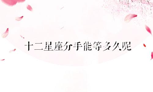十二星座分手能等多久呢
